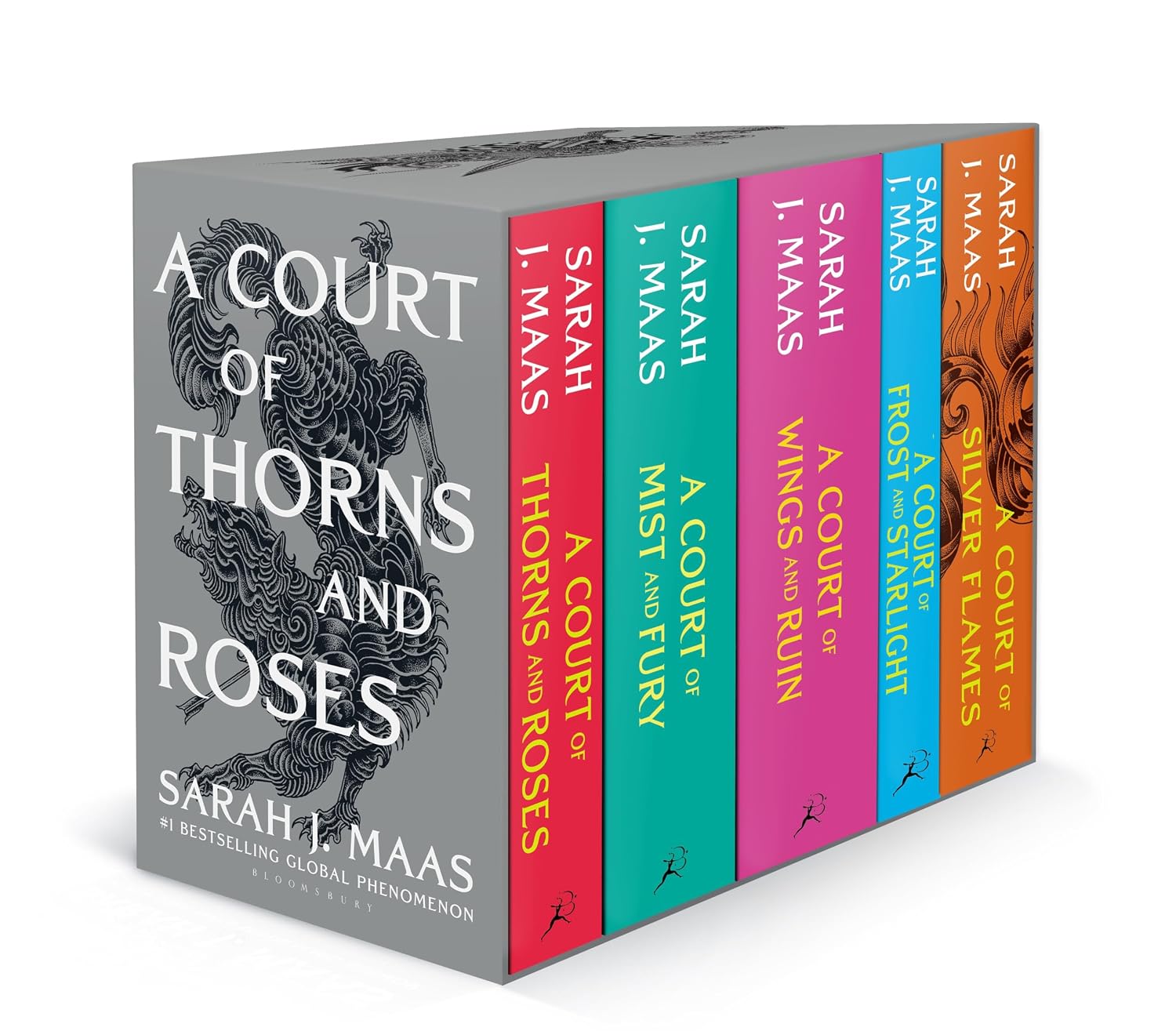 ler totalmente A Court of Thorns and Roses Paperback Box Set (5 books)