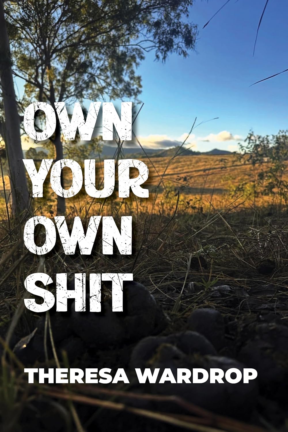 ler totalmente Own Your Own Shit (English Edition)