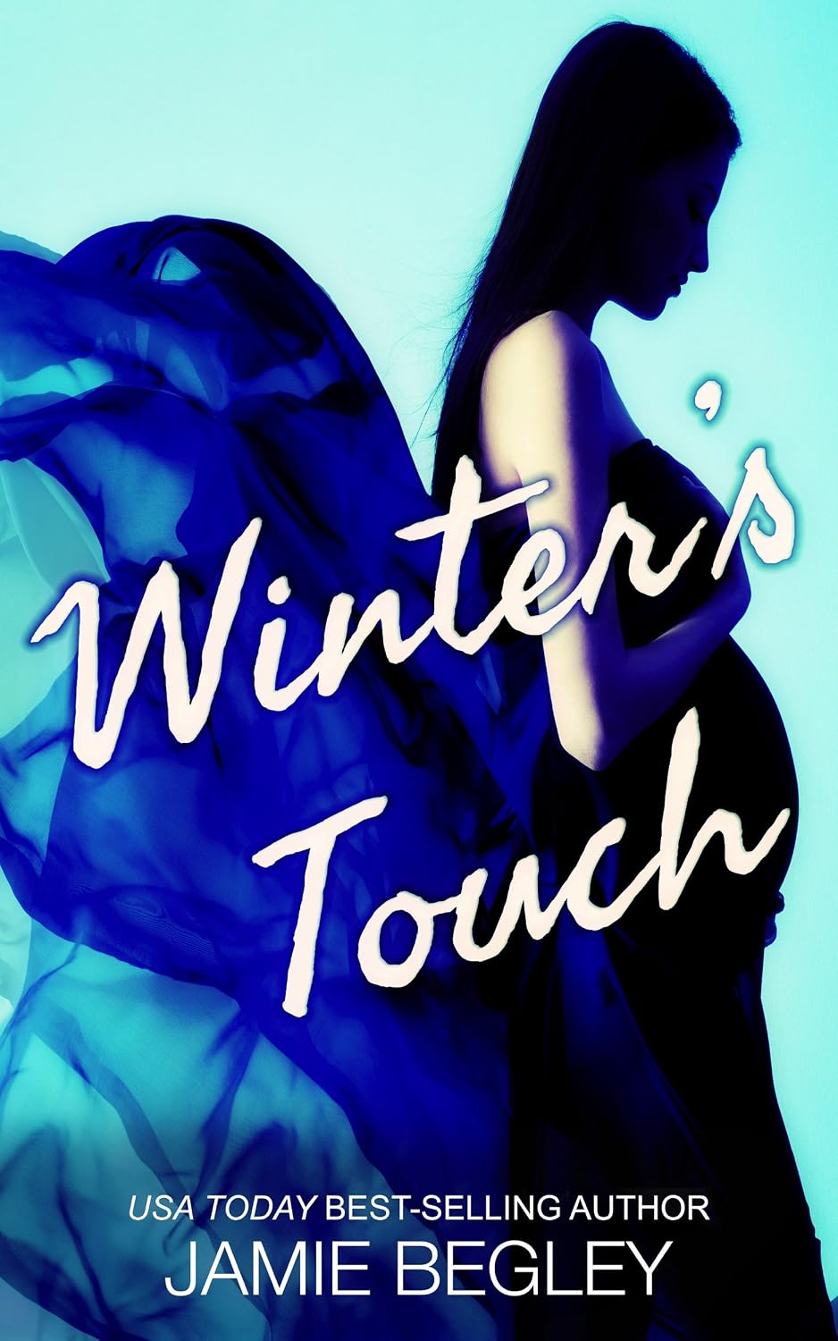 Winter's Touch (The Last Riders Book 8) (English Edition) baixar o livro de graça