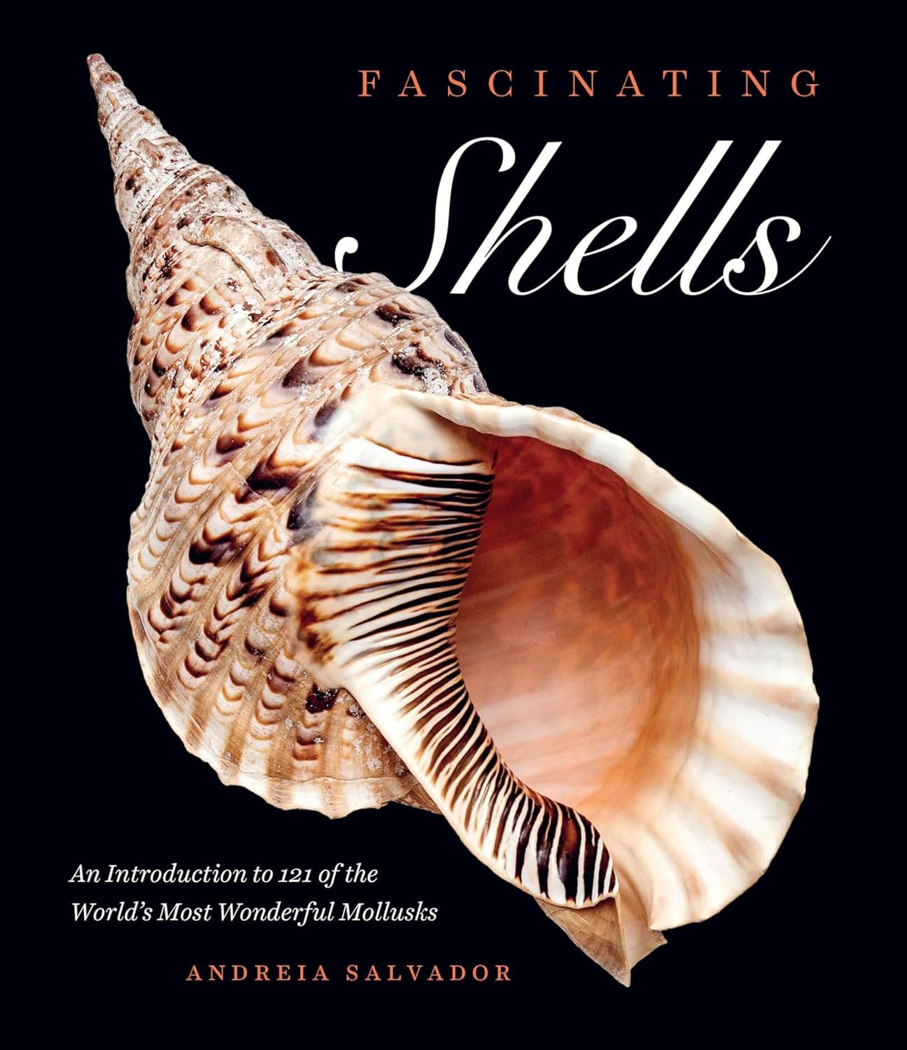 ler totalmente Fascinating Shells: An Introduction to 121 of the World's Most Wonderful Mollusks (English Edition)