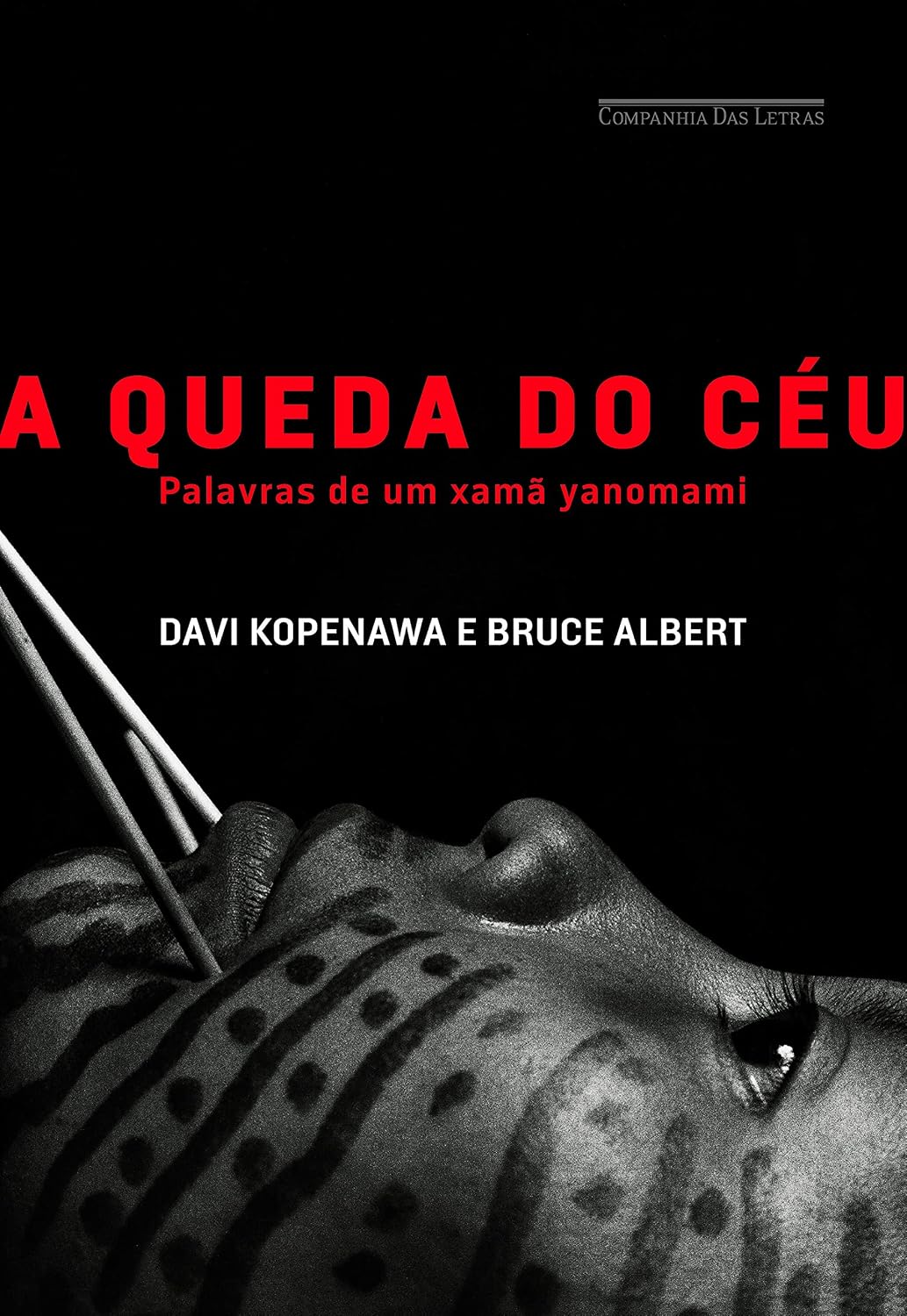 capítulo por capítulo baixar A queda do céu