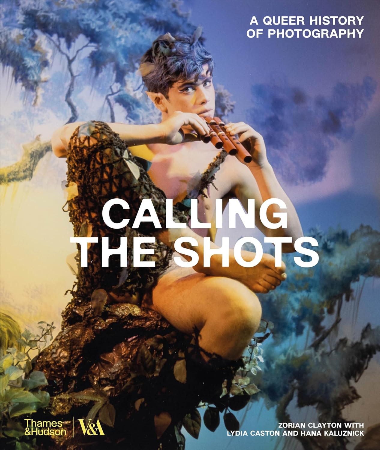 Calling the Shots: A Queer History of Photography baixar o livro de graça