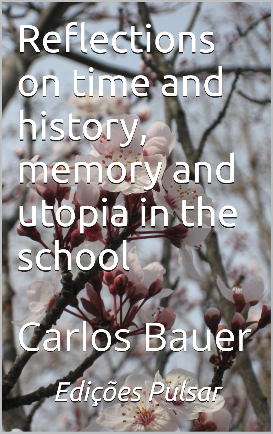 ler totalmente Reflections on time and history, memory and utopia in the school