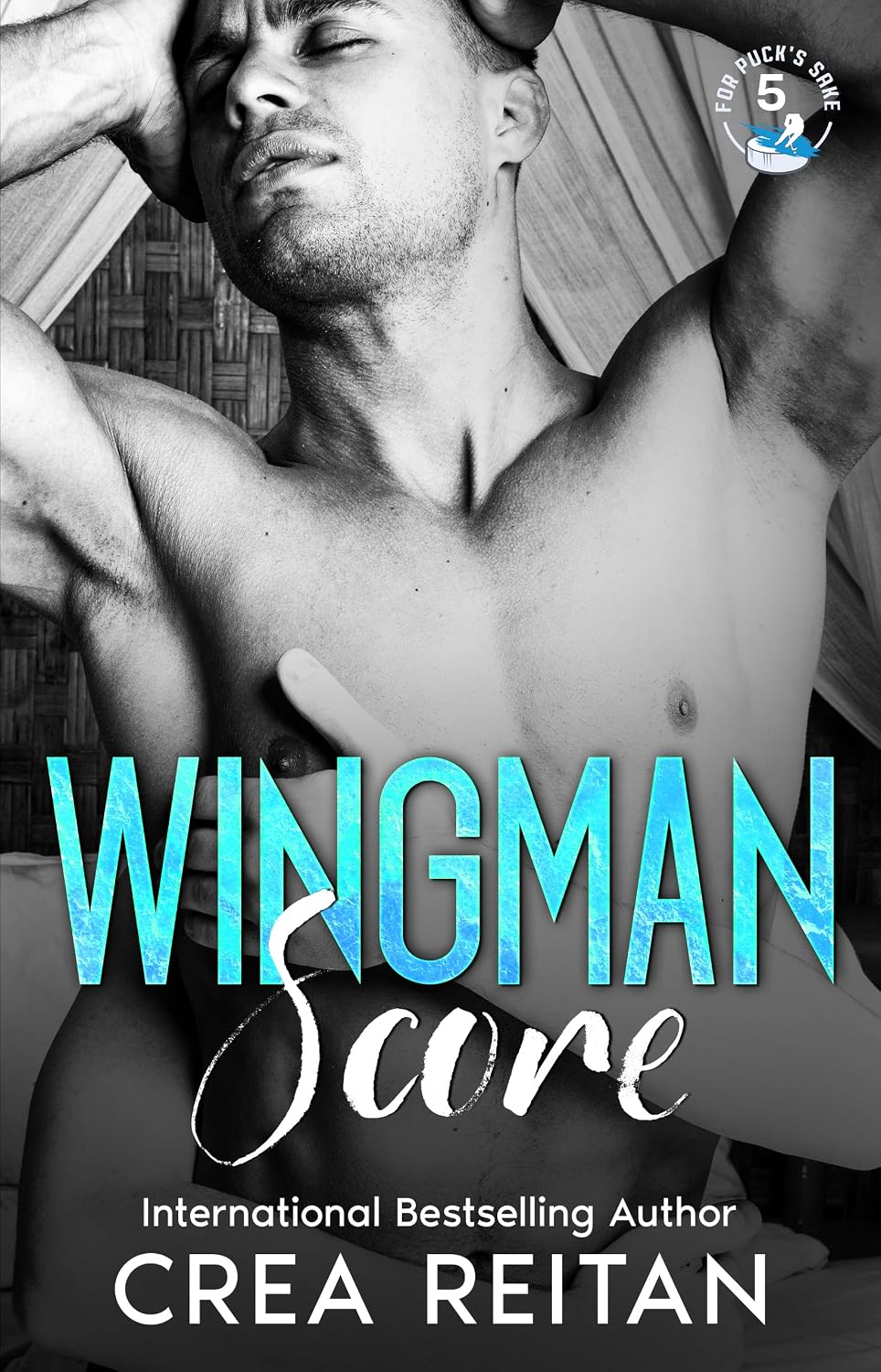 Wingman Score (For Puck's Sake) (English Edition) baixar livro de graça