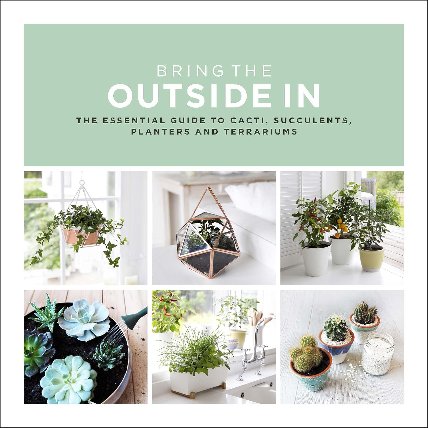 Bring The Outside In: The Essential Guide to Cacti, Succulents, Planters and Terrariums (English Edition)