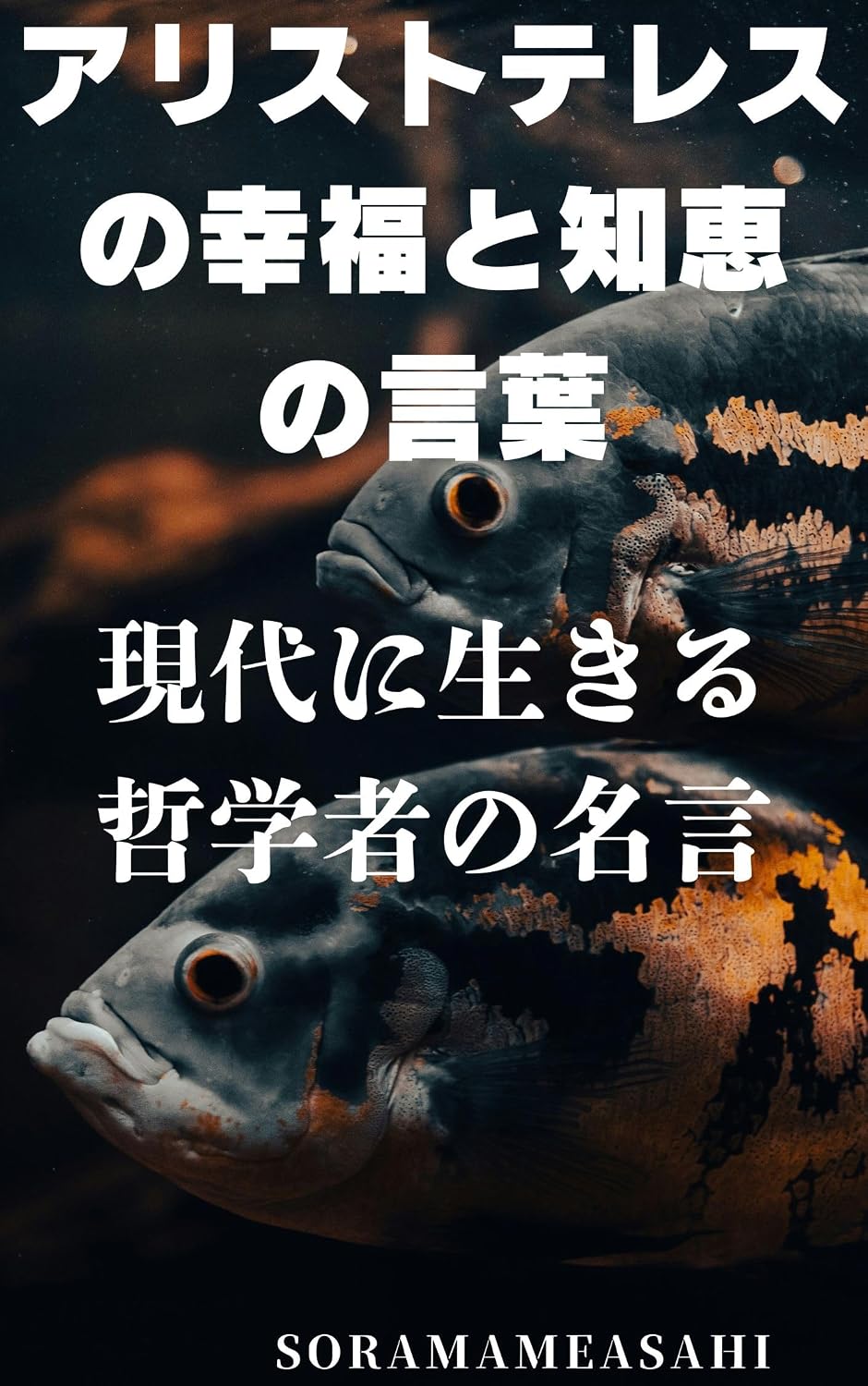 ler totalmente arisutoteresunokoufukutochienokotoba: gendainiikirutetsugakushanomeigen (Japanese Edition)