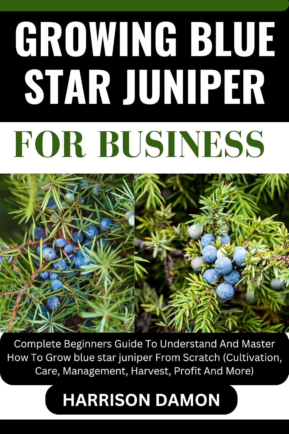 GROWING BLUE STAR JUNIPER FOR BUSINESS: Complete Beginners Guide To Understand And Master How To Grow blue star juniper From Scratch (Cultivation, Care,... Harvest, Profit And More) (English Edition) baixar livro de graça