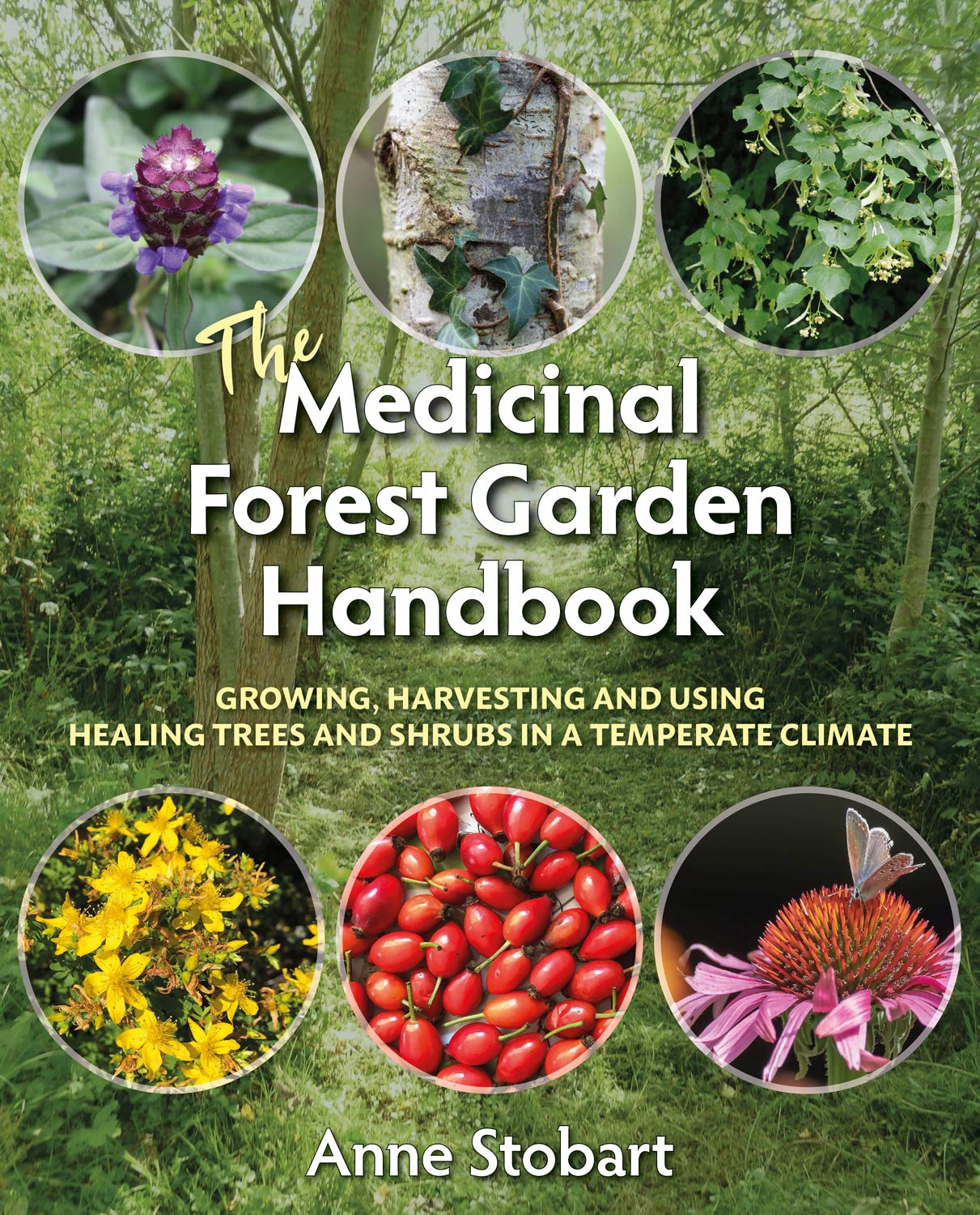The Medicinal Forest Garden Handbook: Growing, harvesting and using healing trees and shrubs in a temperate climate (English Edition) baixar livro de graça