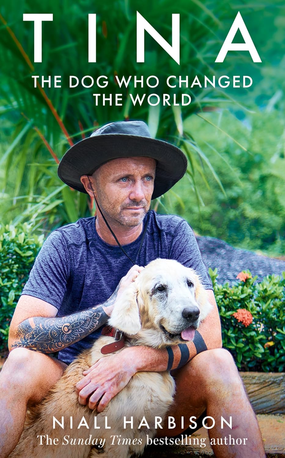 capítulo por capítulo baixar Tina: The Dog Who Changed the World