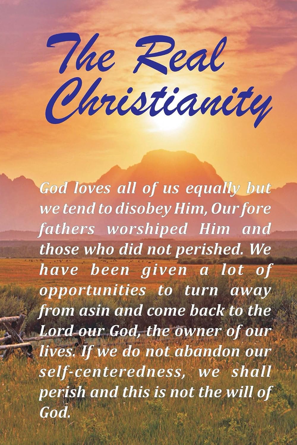 The Real Christianity (English Edition) baixar livro de graça