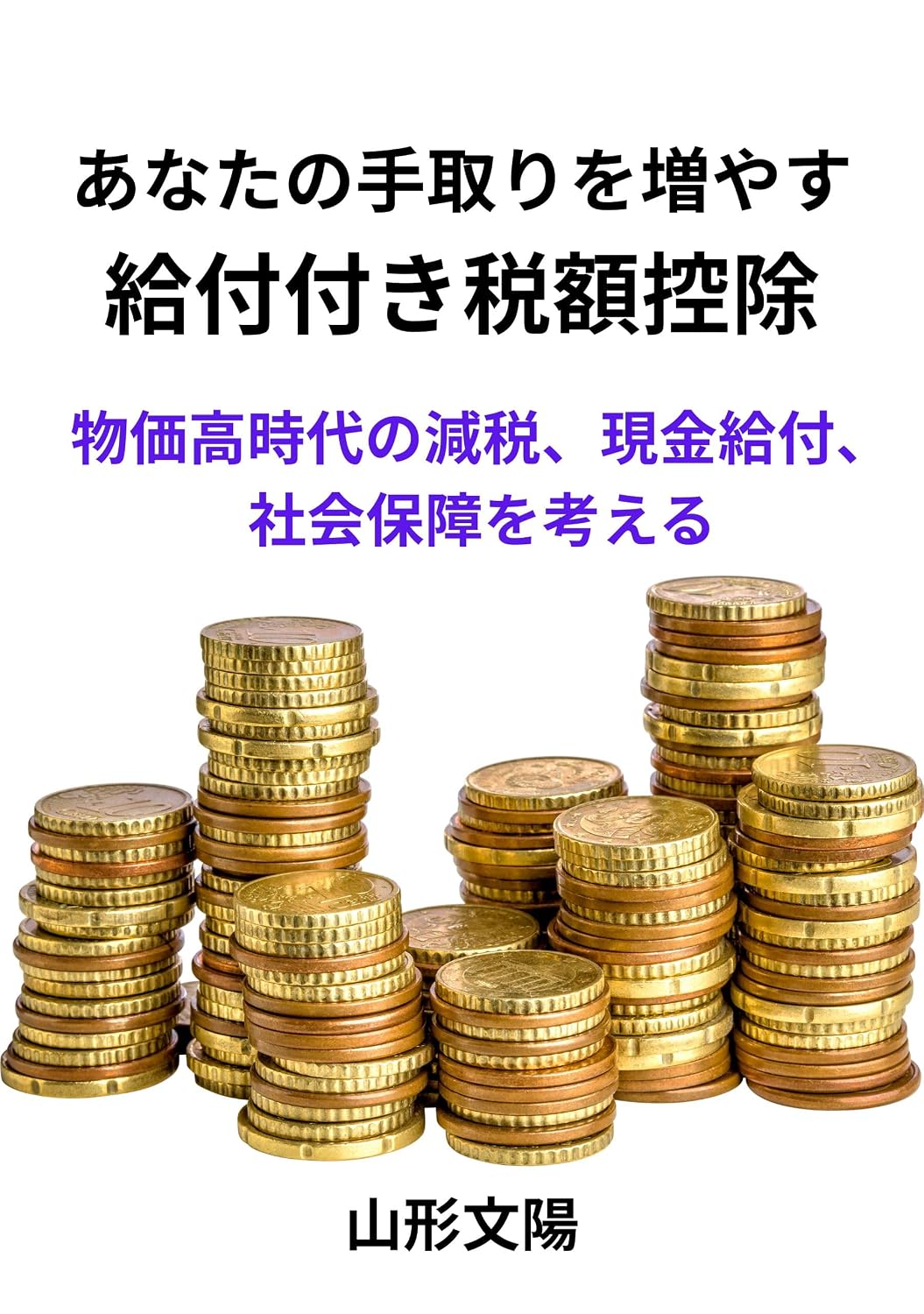 Increase Your Take Home Pay Tax Credits with Benefits: Tax Cuts Cash Payments and Social Security in an Era of Rising Prices (Japanese Edition) baixar livro de graça