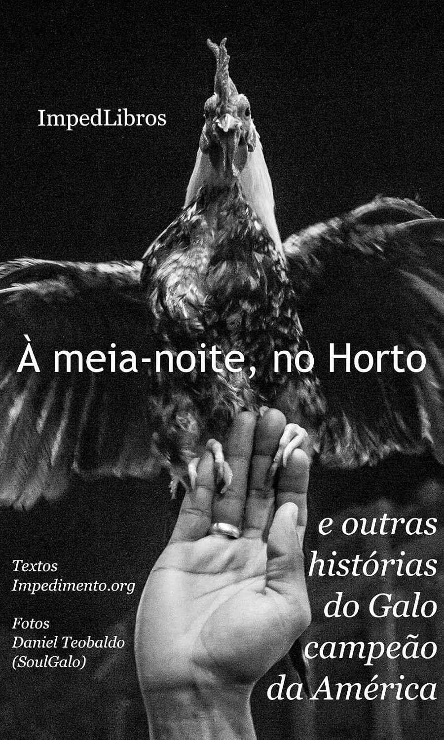 ler totalmente À meia-noite, no Horto - e outras histórias do Galo campeão da América