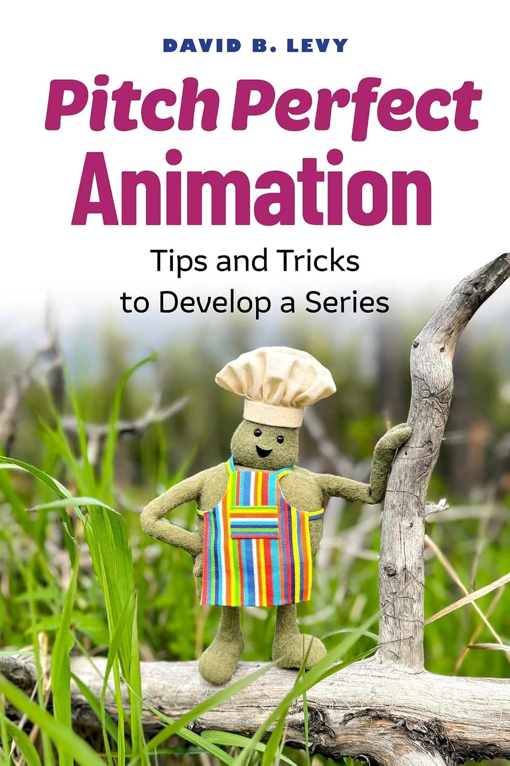 Pitch Perfect Animation: Tips and Tricks to Develop a Series (English Edition) baixar livro de graça