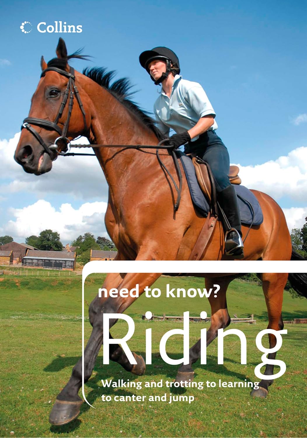 capítulo por capítulo baixar Riding: The British Horse Society Guide to Learning to Walk, Trot, Canter, and Jump (Collins Need to Know?) (English Edition)
