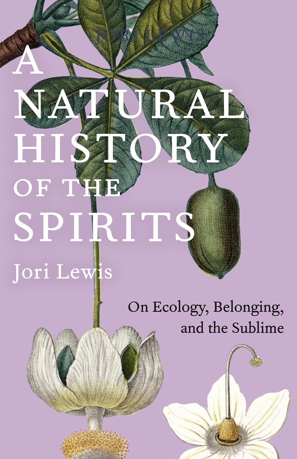 capítulo por capítulo baixar A Natural History of the Spirits: On Ecology, Belonging, and the Sublime (English Edition)