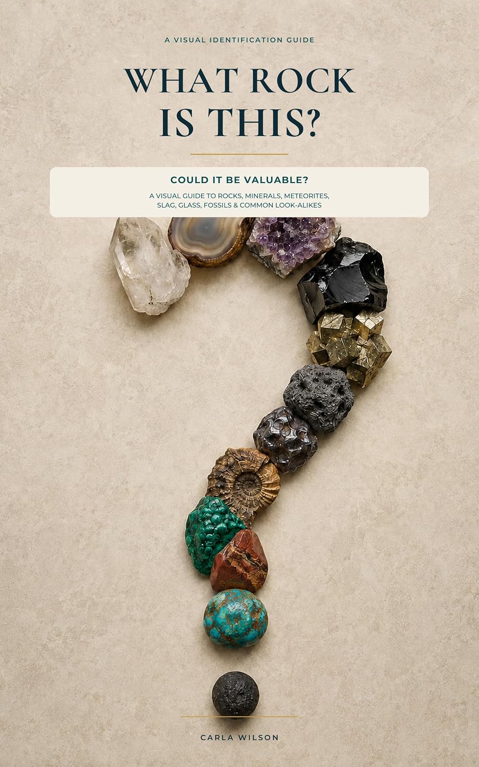 What Rock Is This?: Could It Be Valuable? A Visual Identification Guide to Rocks, Minerals, Meteorites, Slag, Glass, Fossils, and Common Look-Alikes (English Edition) baixar o livro de graça