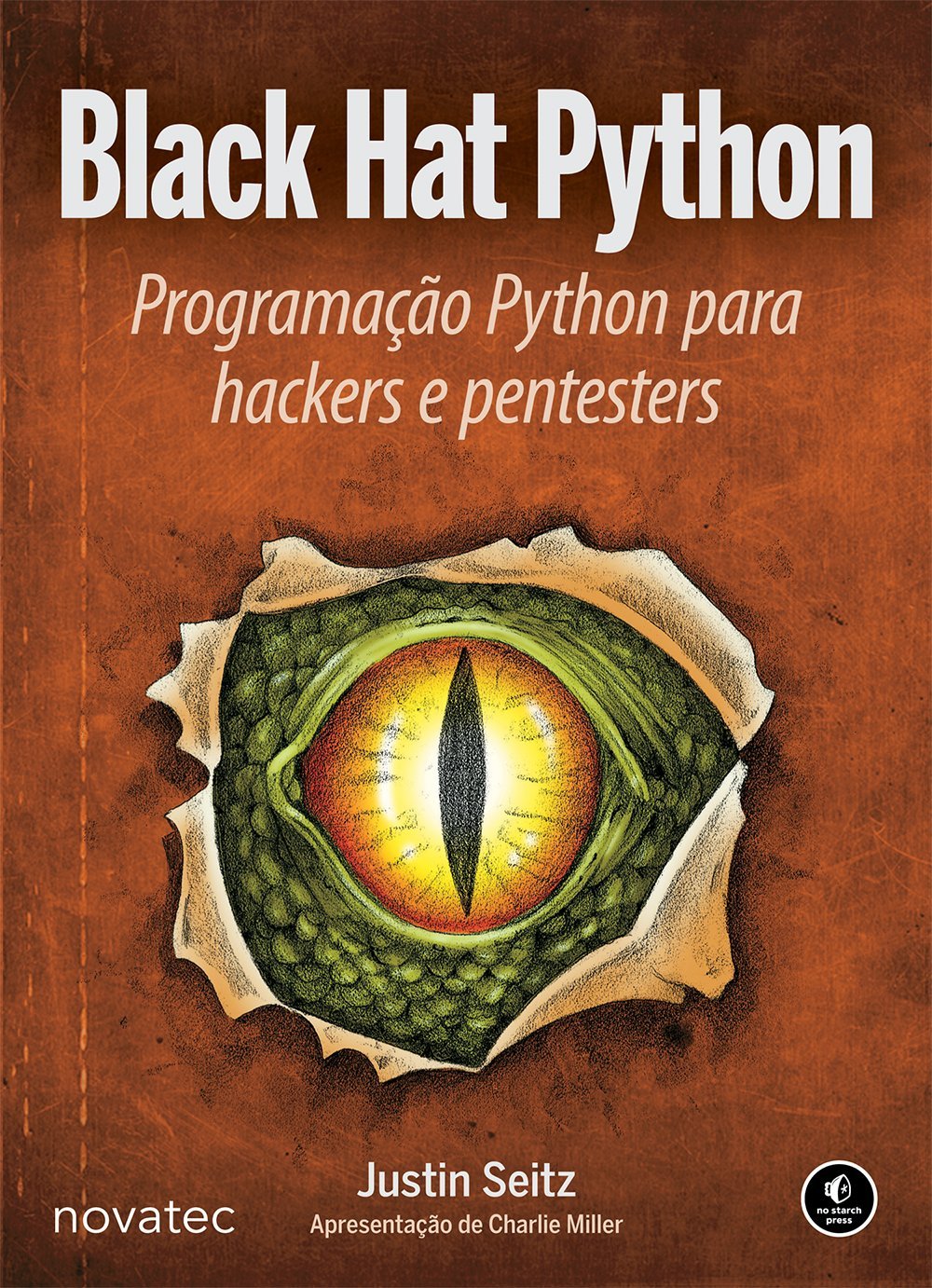 Black Hat Python baixar livro de graça