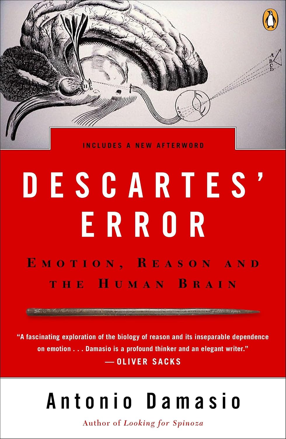 Descartes' Error: Emotion, Reason, and the Human Brain baixar o livro de graça