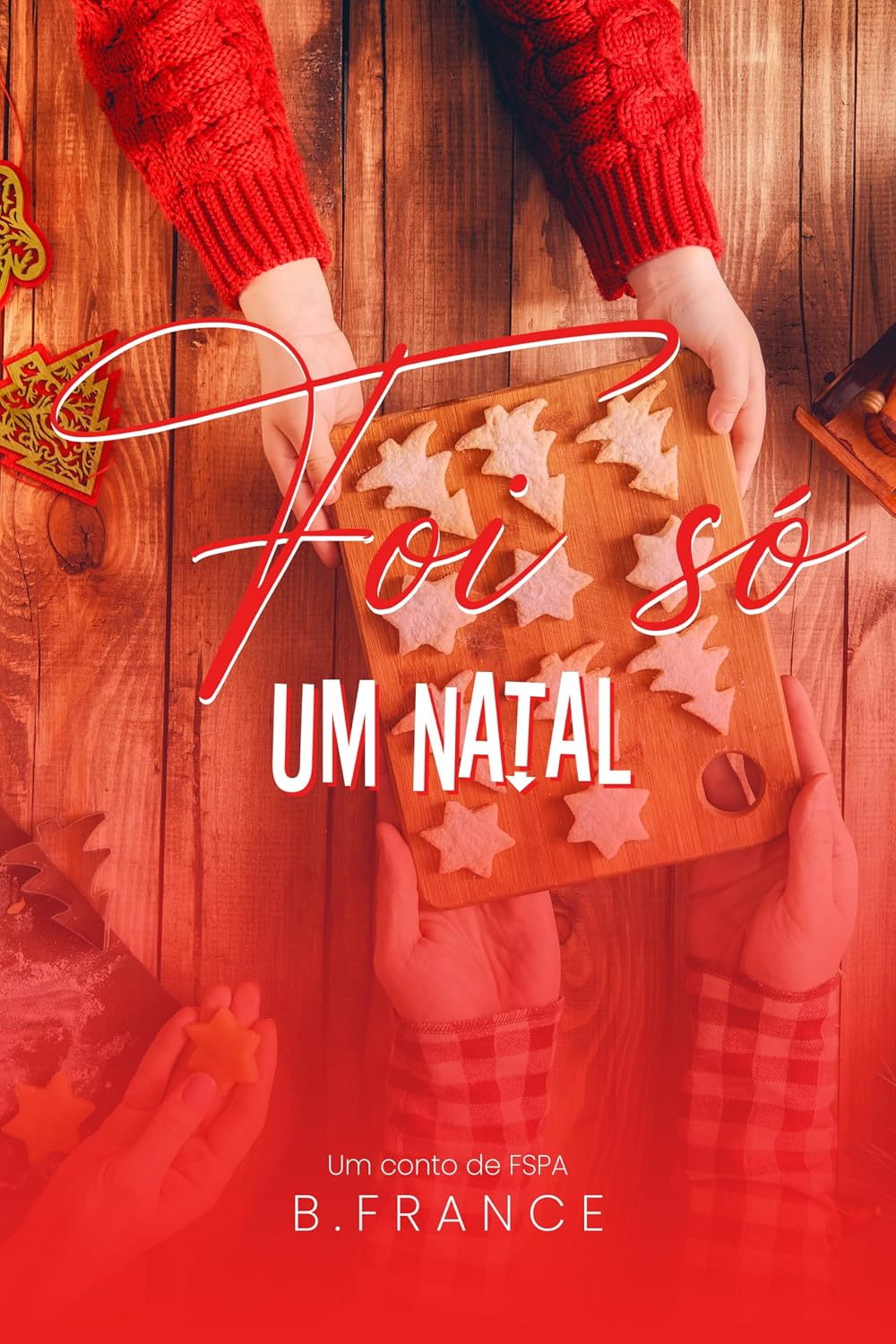 capítulo por capítulo baixar Foi só um Natal (Duologia FSPA)