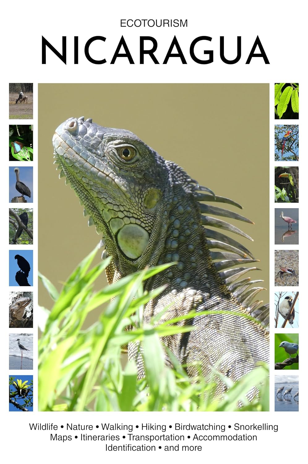 Ecotourism Nicaragua: Wildlife, Nature, Walking, Hiking, Birdwatching, Snorkelling, Maps, Itineraries, Transportation, Accommodation, Identification and more (Ecotourism Guides) (English Edition) baixar livro de graça