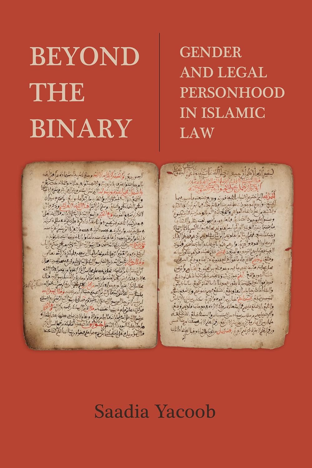 capítulo por capítulo baixar Beyond the Binary: Gender and Legal Personhood in Islamic Law (English Edition)