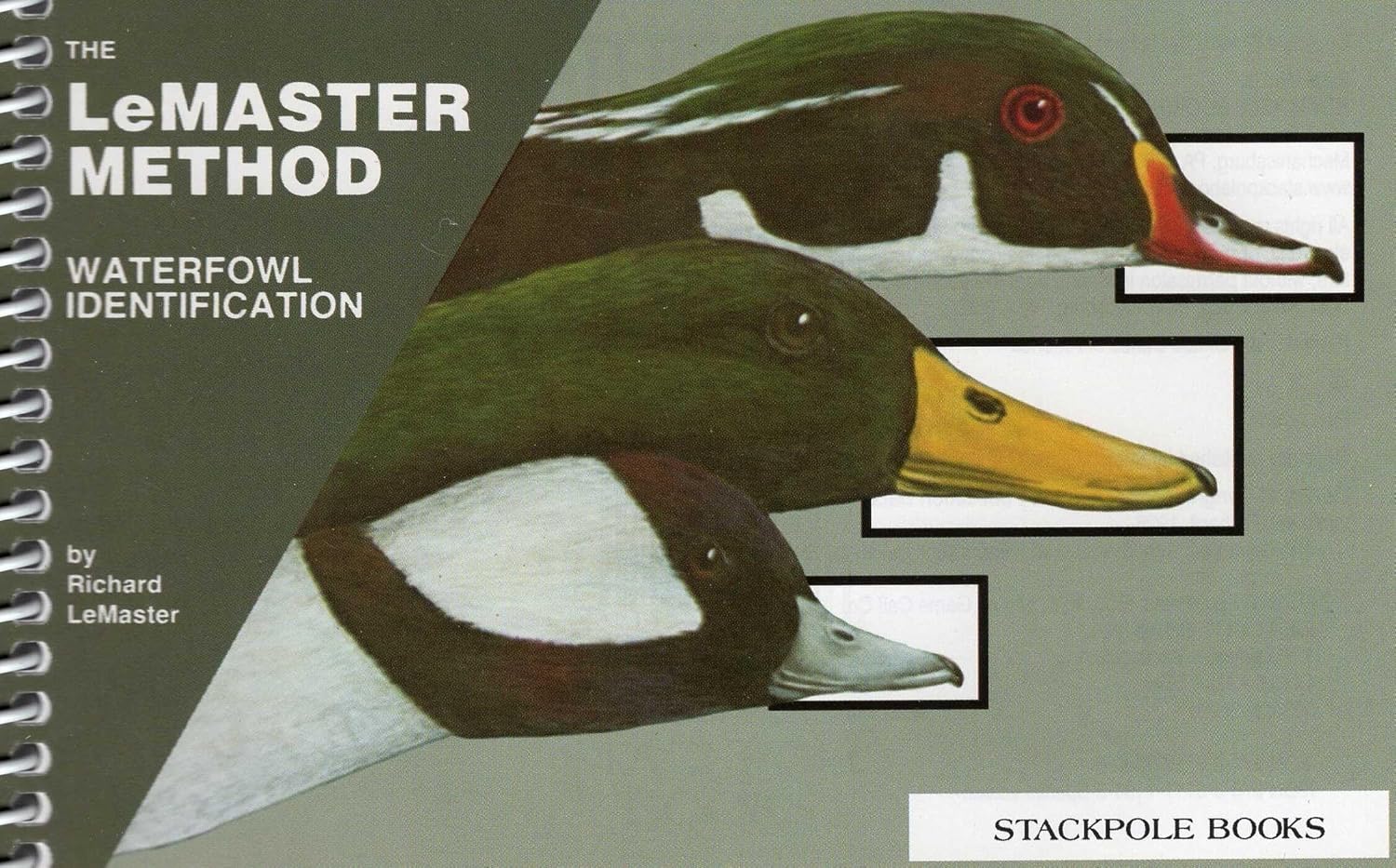 Waterfowl Identification (English Edition) baixar o livro de graça