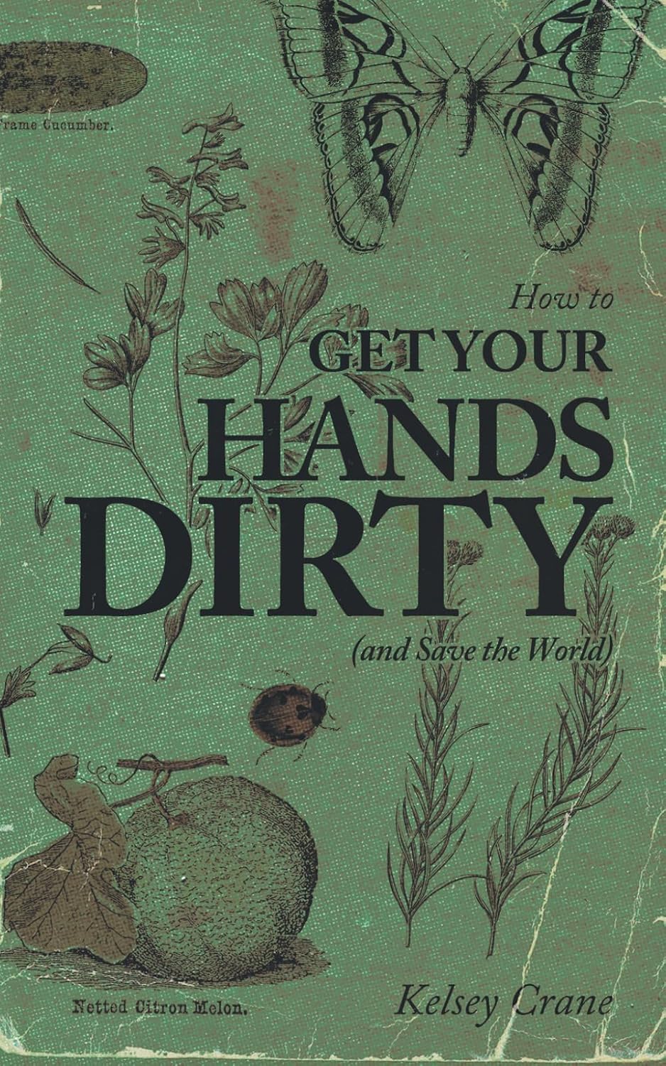 How to Get Your Hands Dirty (and Save the World) baixar o livro de graça