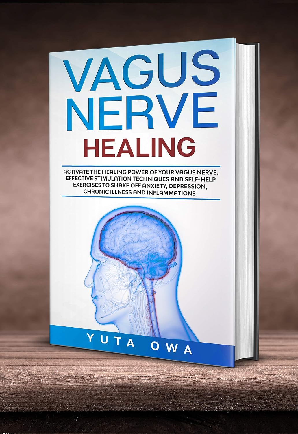 VAGUS NERVE HEALING: Activate the healing power of your Vagus Nerve. Effective stimulation techniques and self-help exercises to shake off anxiety, depression,... illness and inflammations (English Edition) baixar o livro de graça