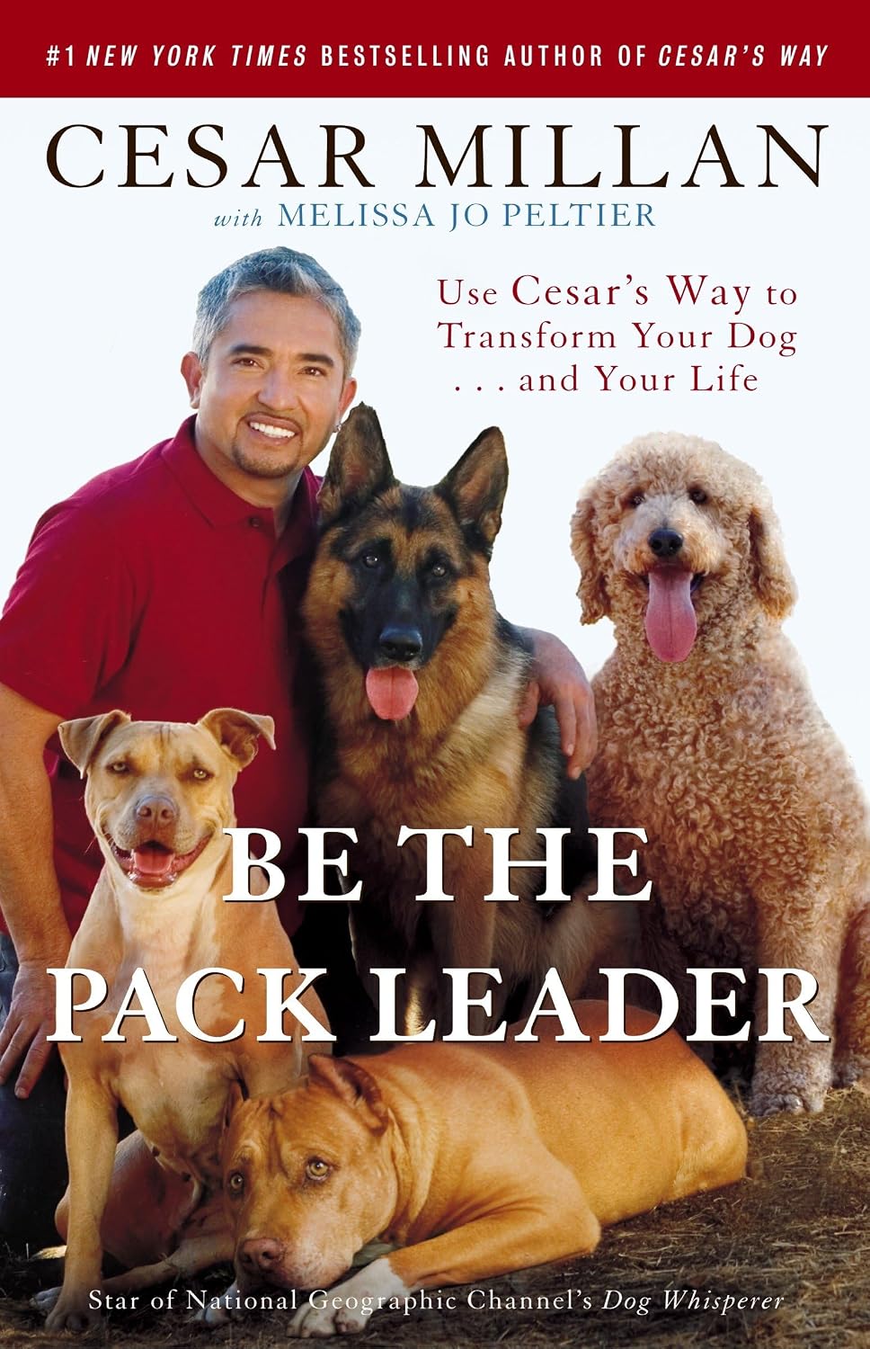 Be the Pack Leader: Use Cesar's Way to Transform Your Dog... and Your Life baixar livro de graça