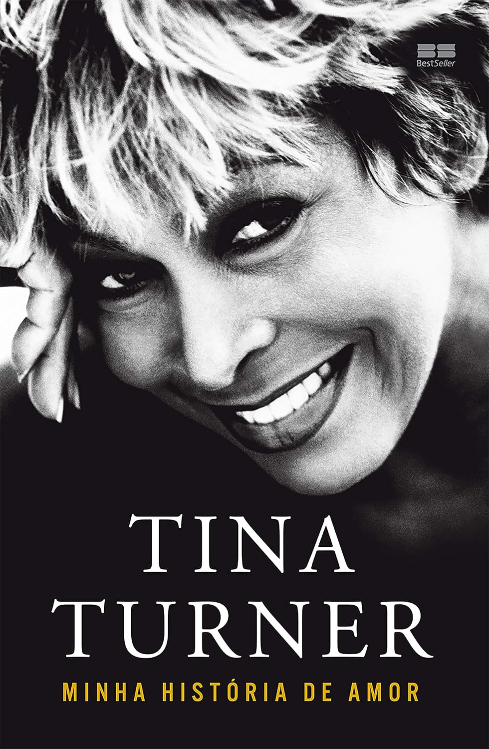 Tina Turner: Minha história de amor baixar o livro de graça