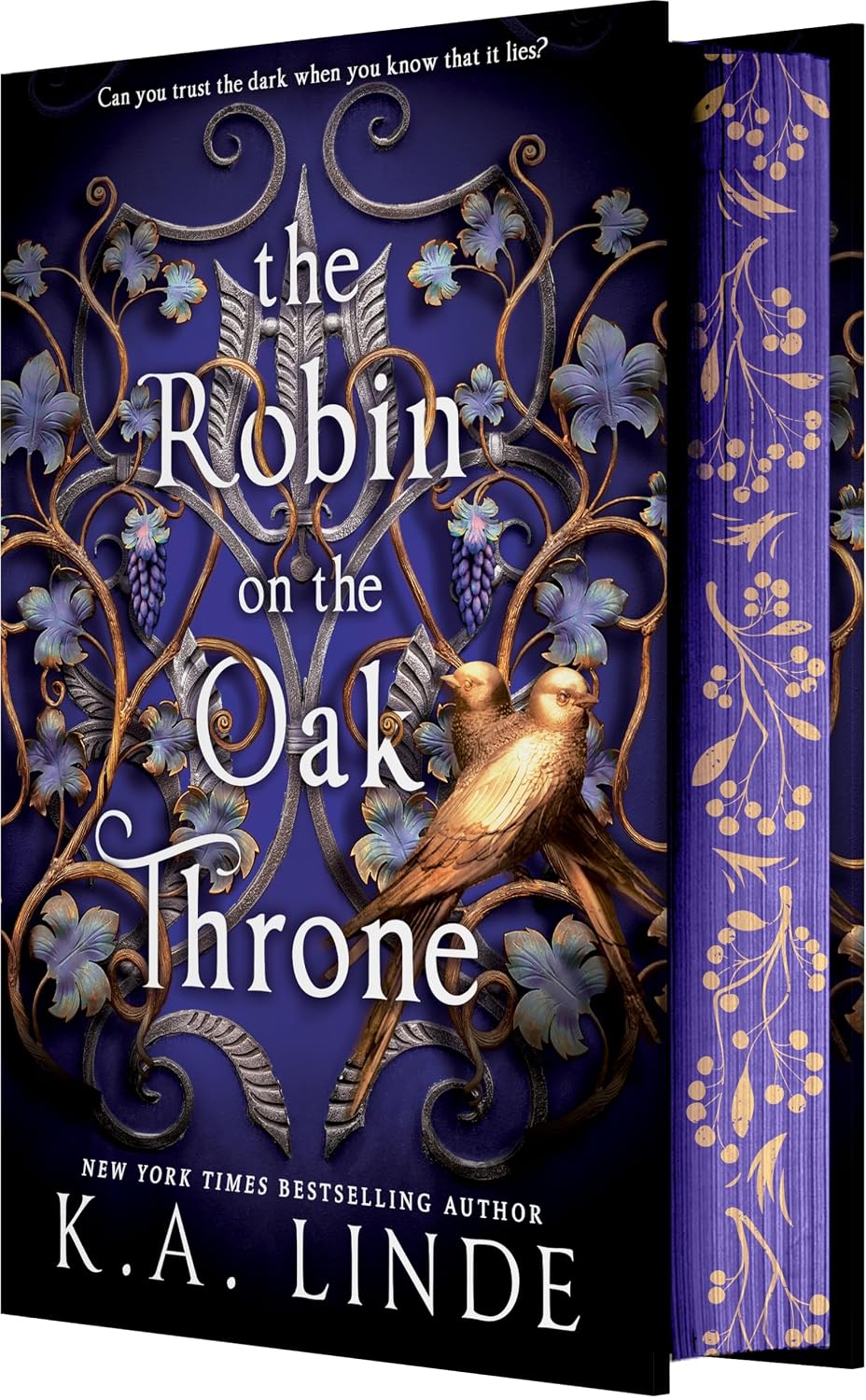 The Robin on the Oak Throne: 2 baixar livro de graça