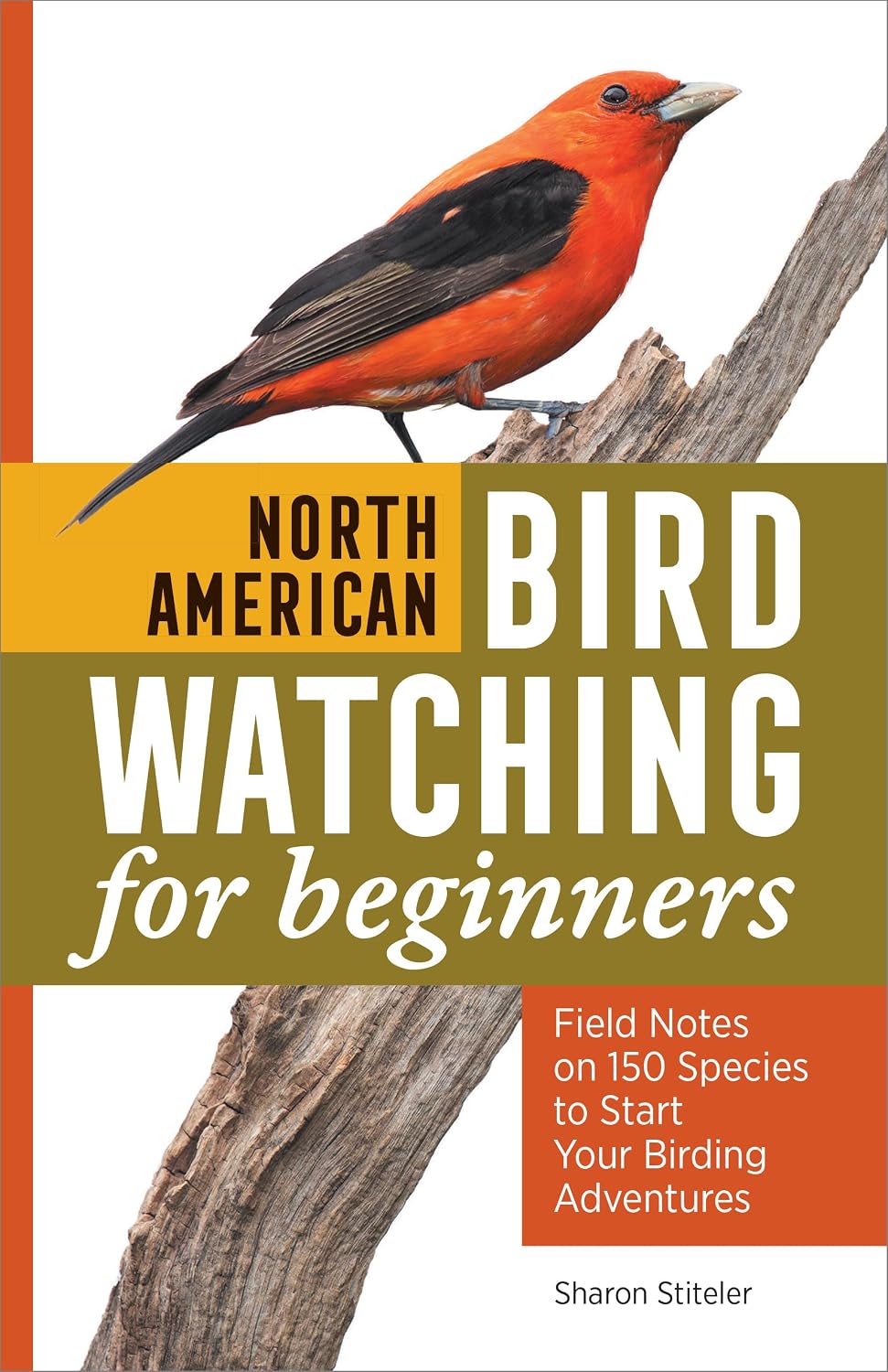 capítulo por capítulo baixar North American Bird Watching for Beginners: Field Notes on 150 Species to Start Your Birding Adventures