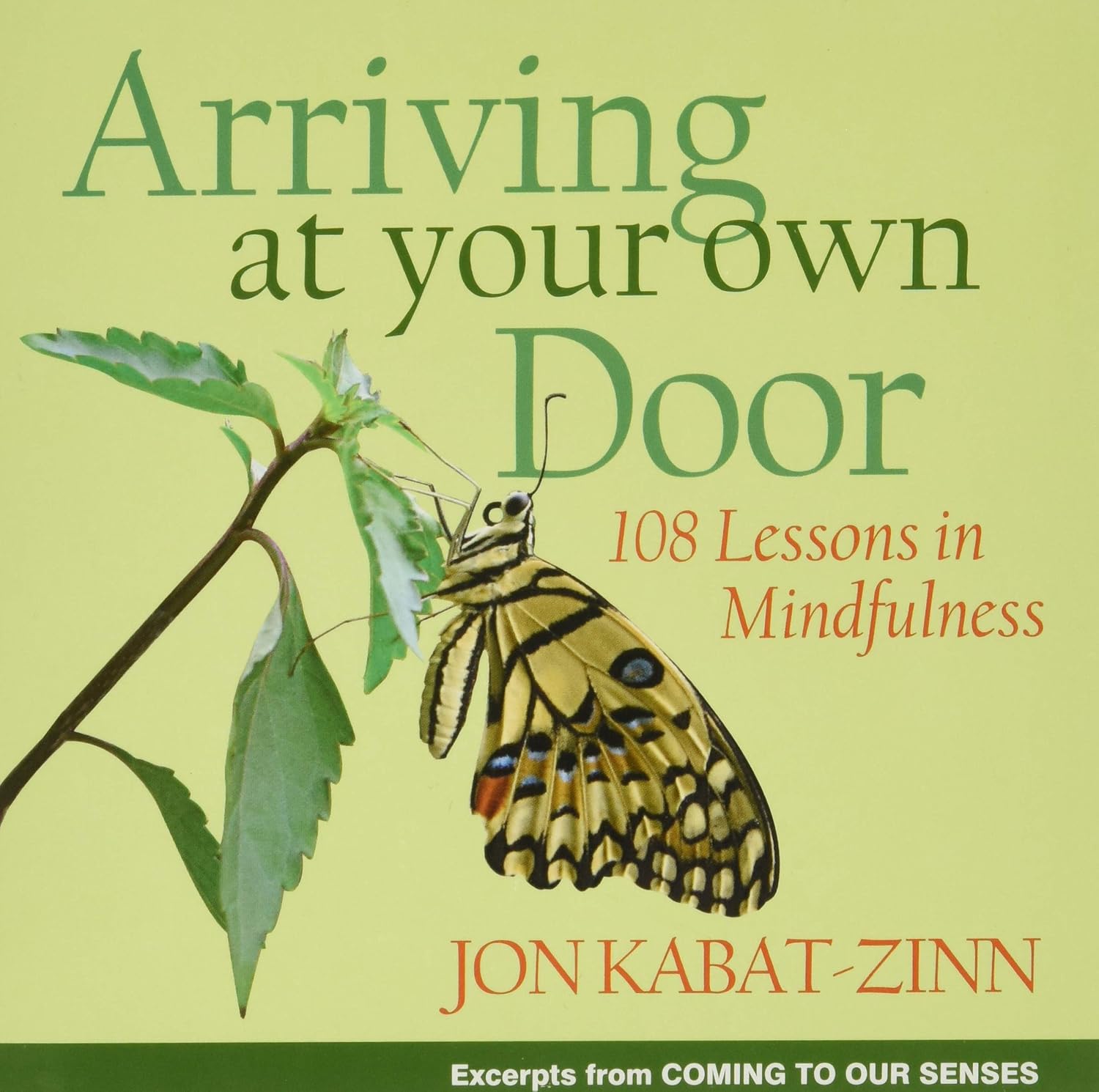 Arriving at Your Own Door: 108 Lessons in Mindfulness baixar o livro de graça