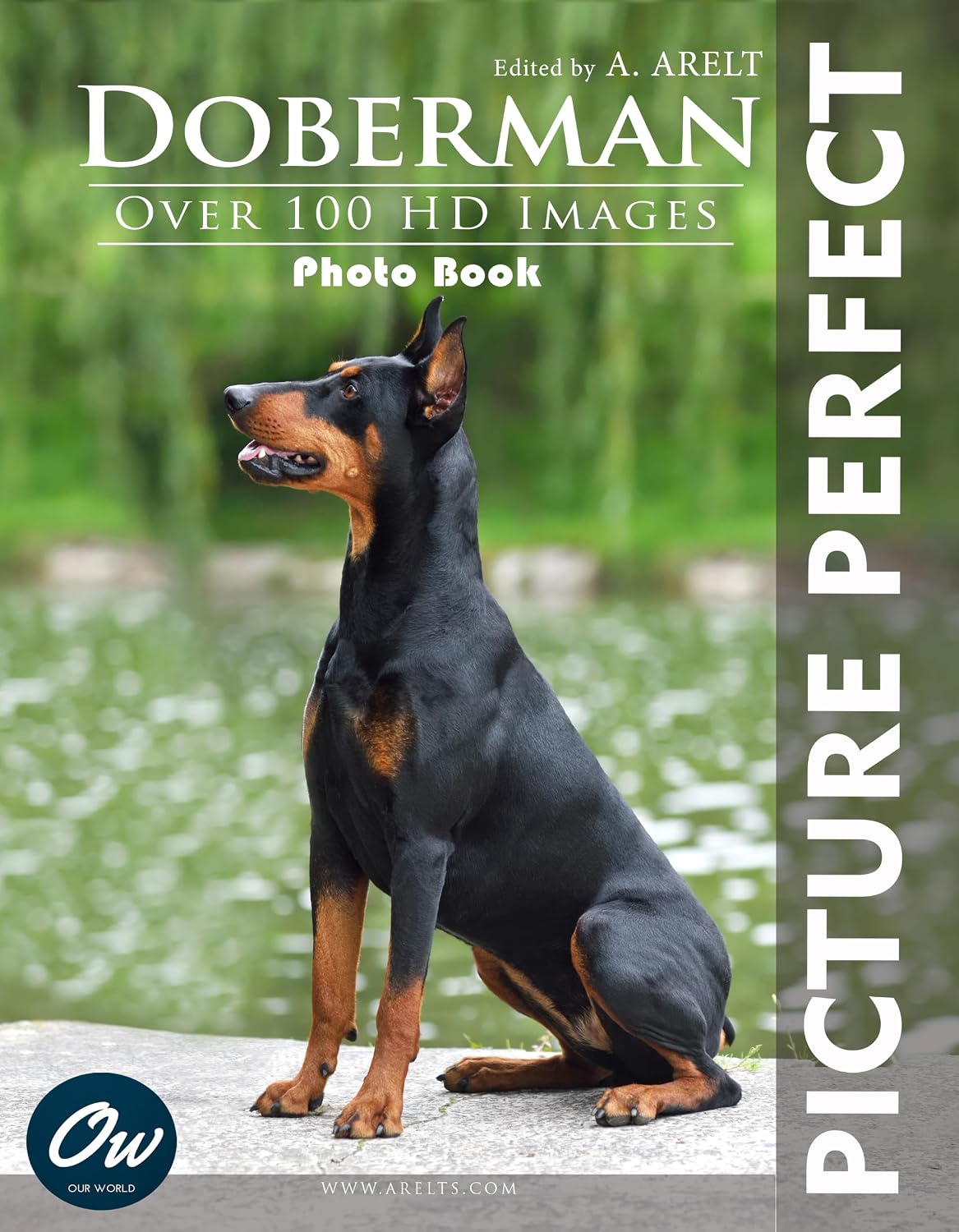 Doberman: Picture Perfect Photo Book: Over 100 HD images (English Edition) baixar o livro de graça