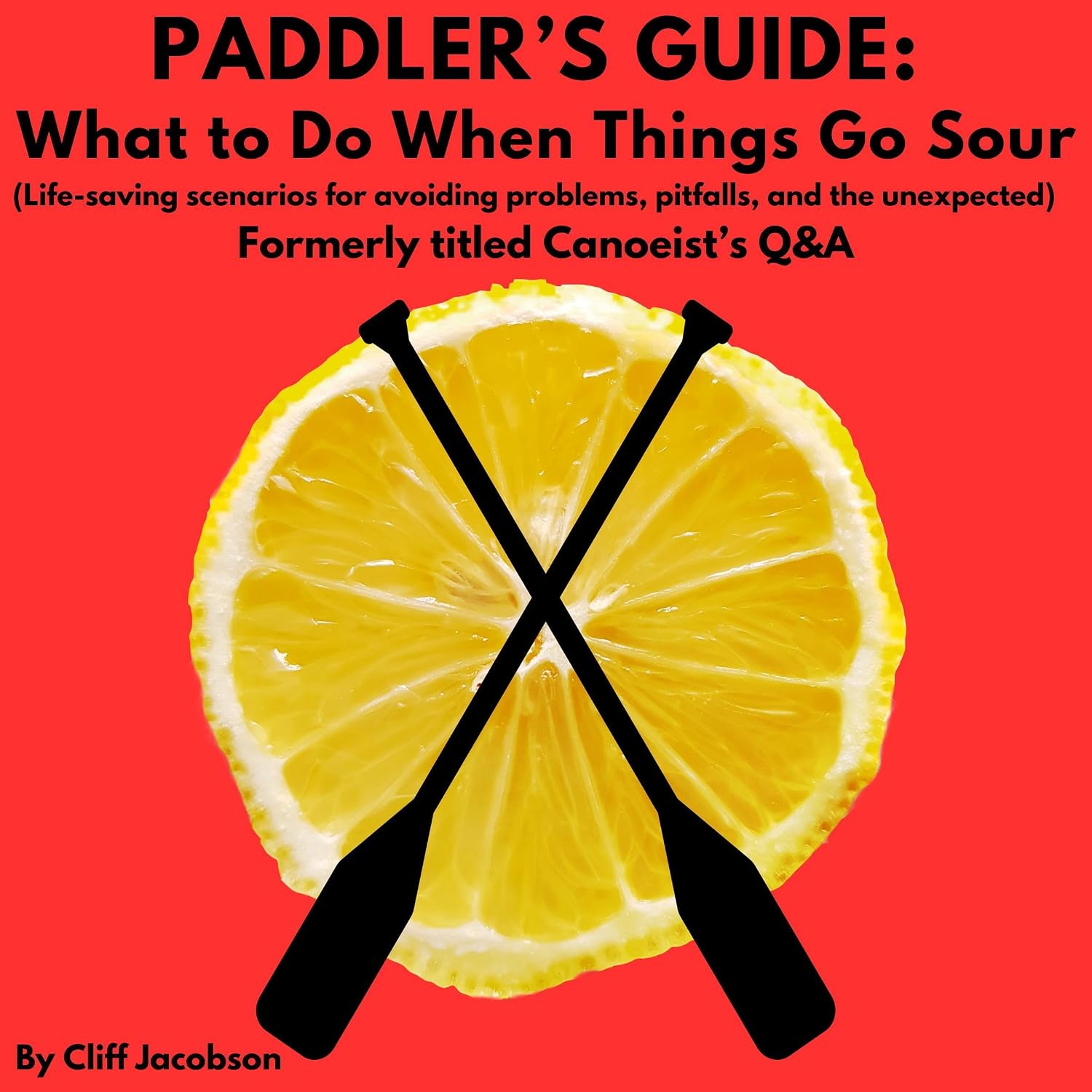 Paddler's Guide: What to Do When Things Go Sour: Life Saving Scenarios for Avoiding Problems, Pitfalls, and the Unexpected baixar livro de graça