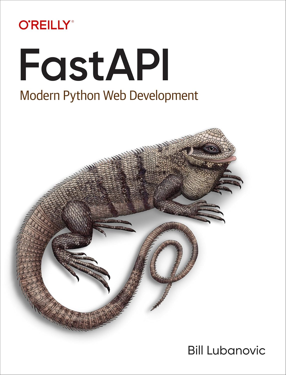 Fastapi: Modern Python Web Development baixar livro de graça