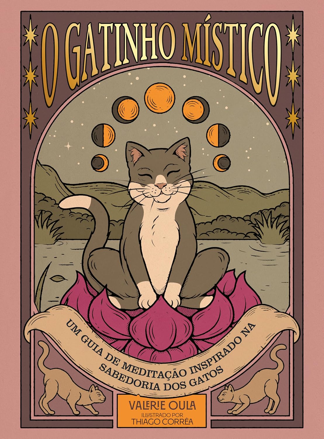 capítulo por capítulo baixar O gatinho místico: Um guia de meditação inspirado na sabedoria dos gatos
