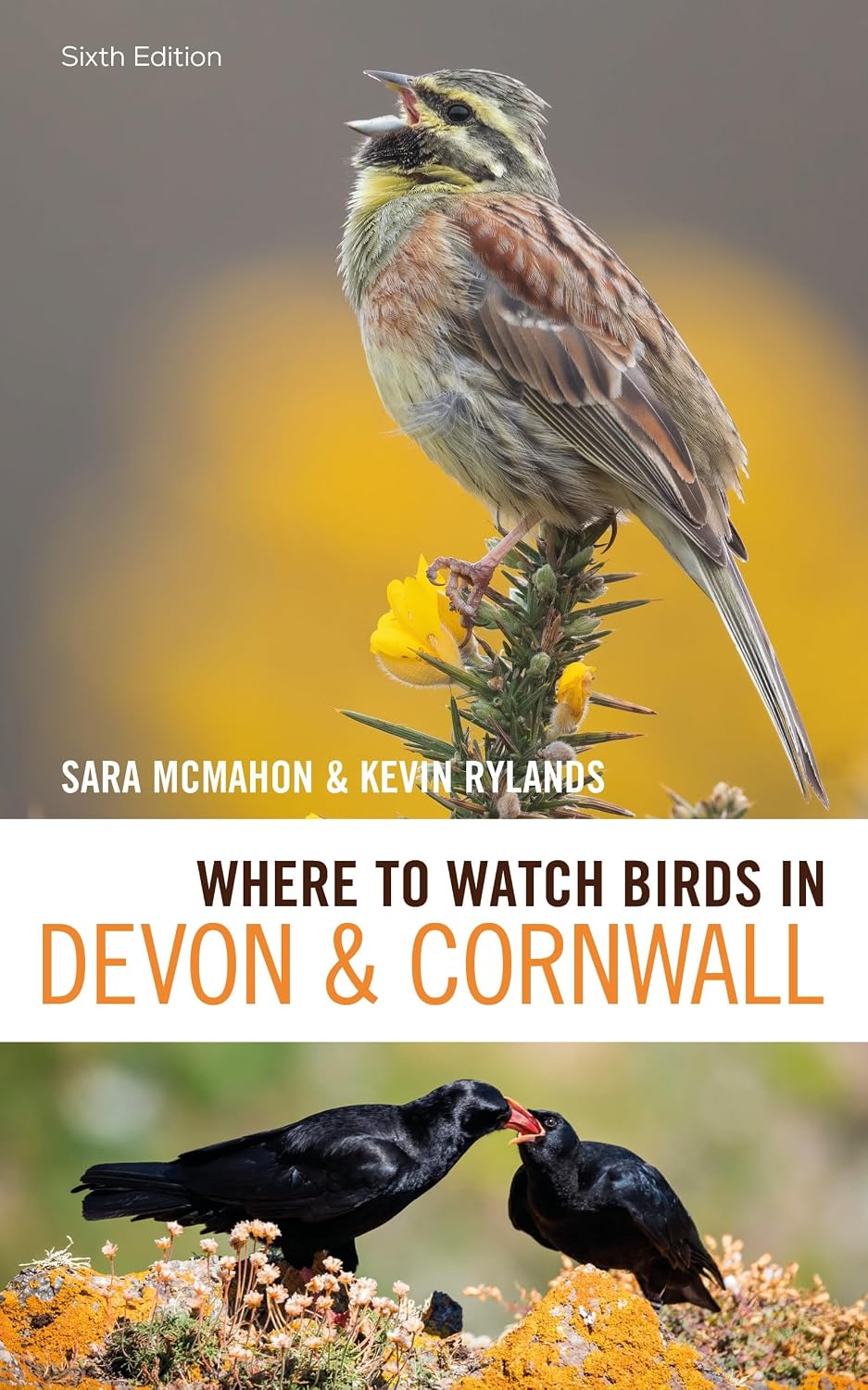 Where to Watch Birds in Devon and Cornwall: 6th edition (English Edition) baixar o livro de graça