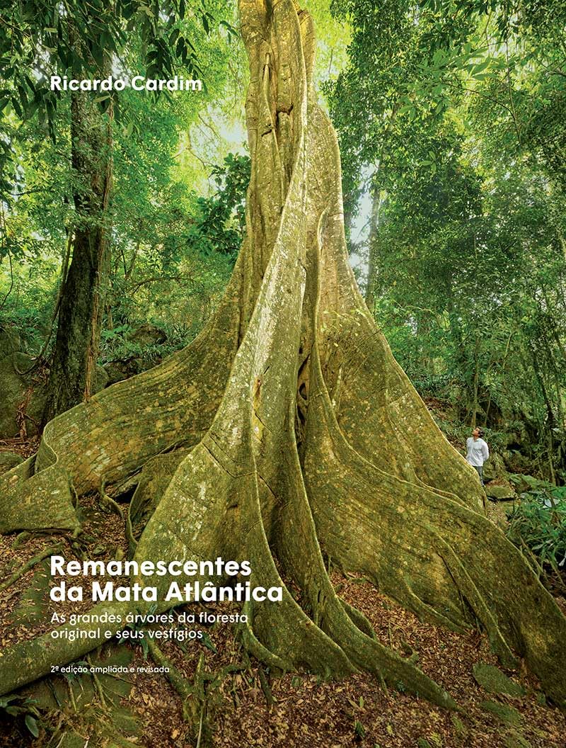 capítulo por capítulo baixar Remanescentes da Mata Atlântica: As grandes árvores da floresta original e seus vestígios