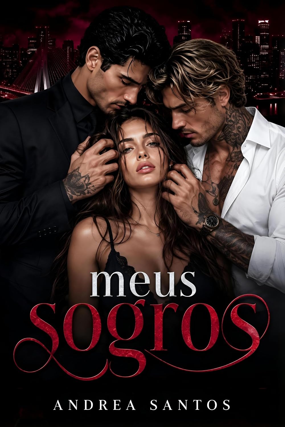 Meus Sogros baixar livro de graça