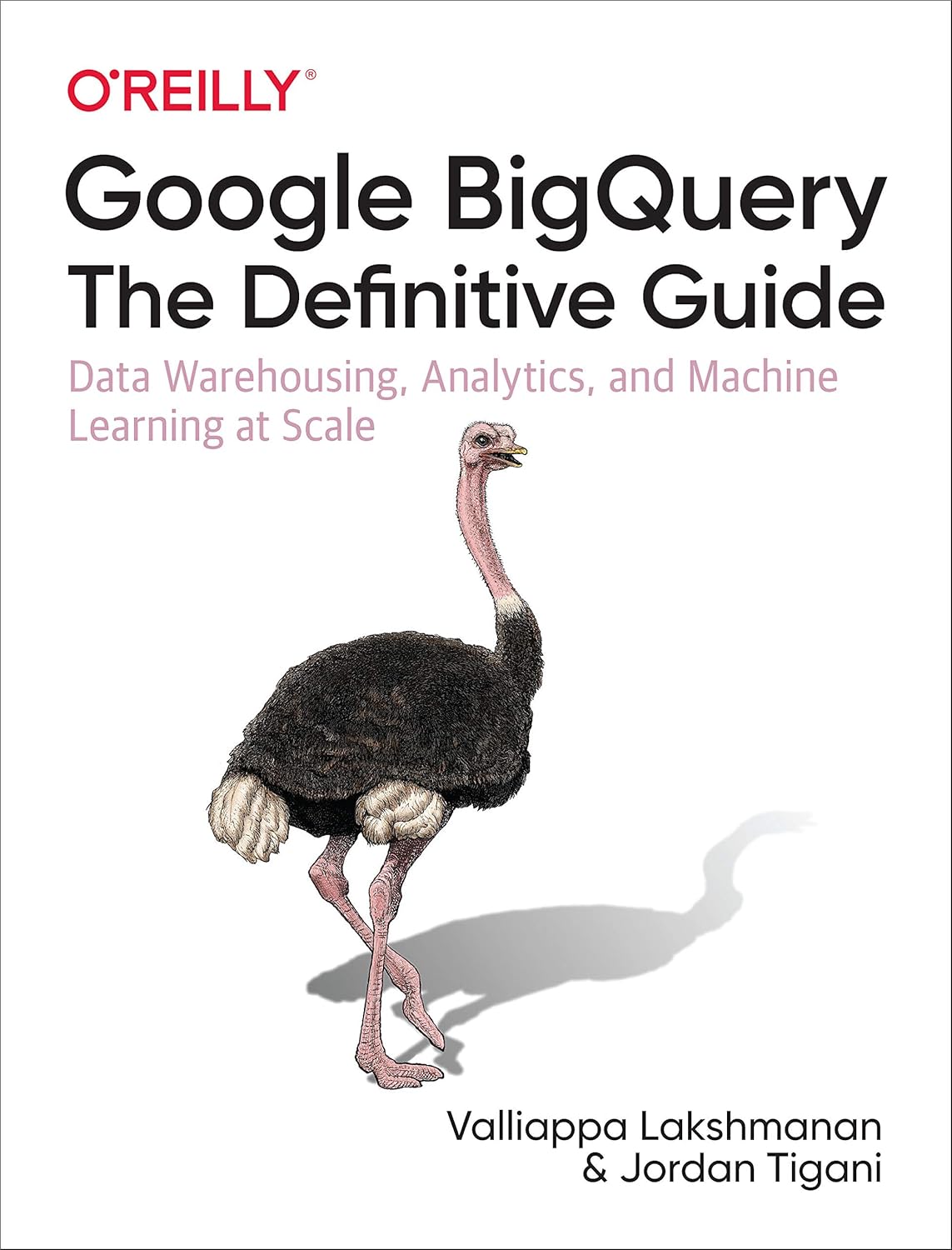 Google BigQuery: The Definitive Guide: Data Warehousing, Analytics, and Machine Learning at Scale (English Edition) baixar o livro de graça