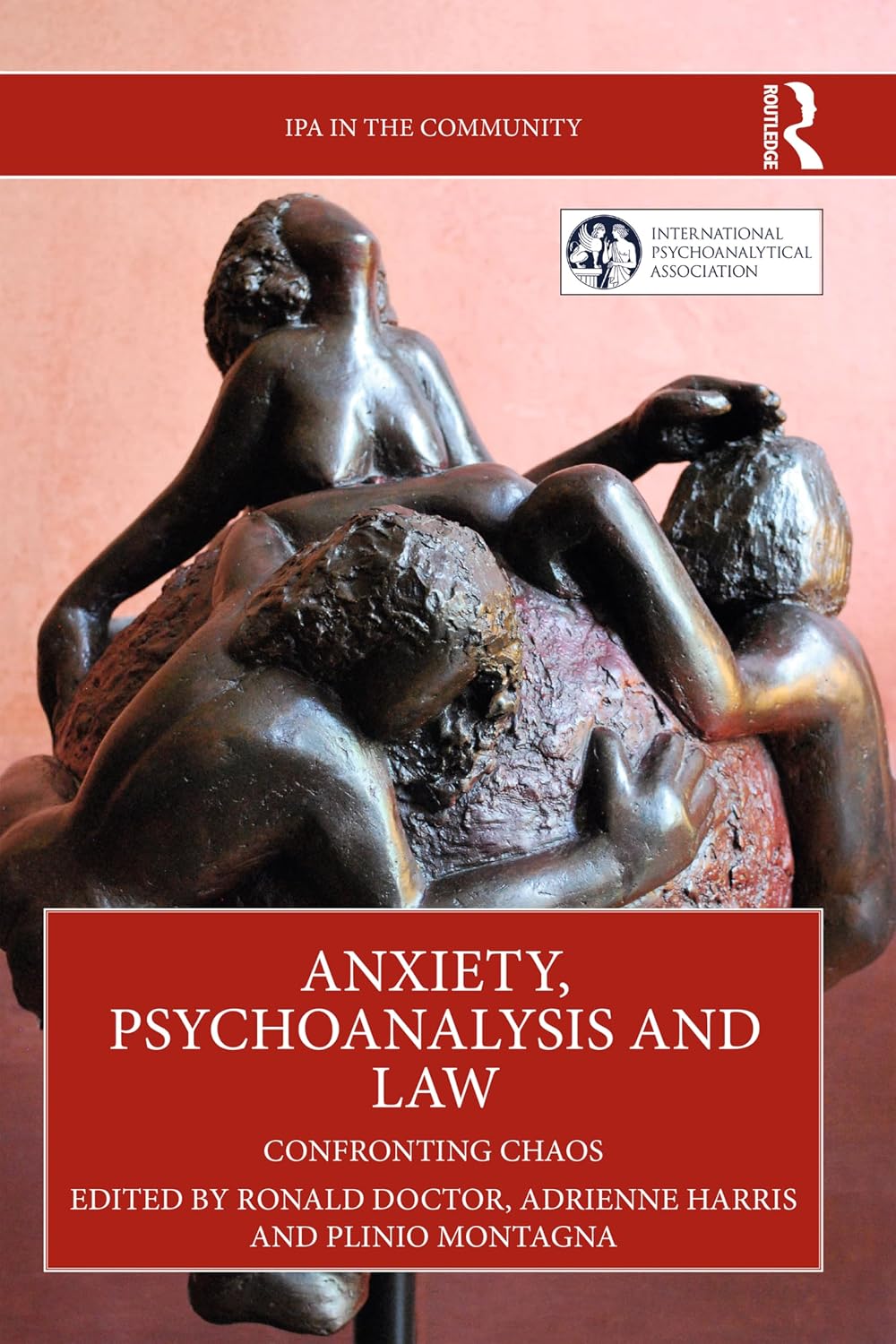ler totalmente Anxiety, Psychoanalysis and Law: Confronting Chaos (IPA in the Community) (English Edition)