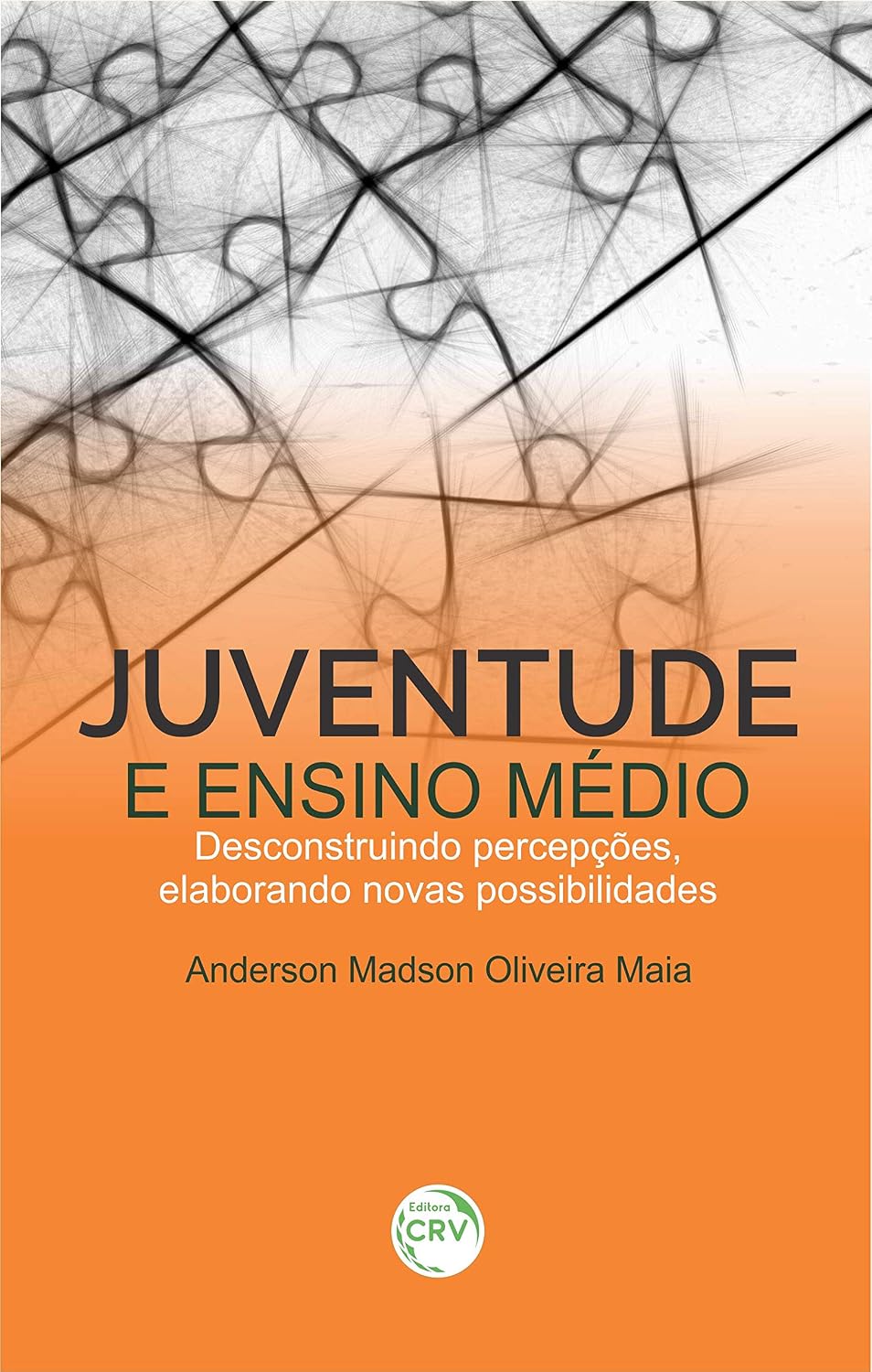 Juventude e ensino médio: Desconstruindo percepções, elaborando novas possibilidades baixar livro de graça