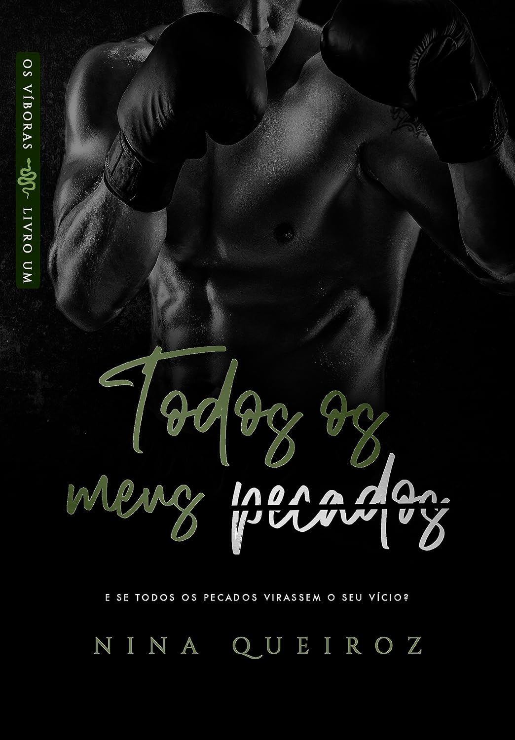 Todos os meus pecados ( Os Víboras Livro 01) baixar o livro de graça