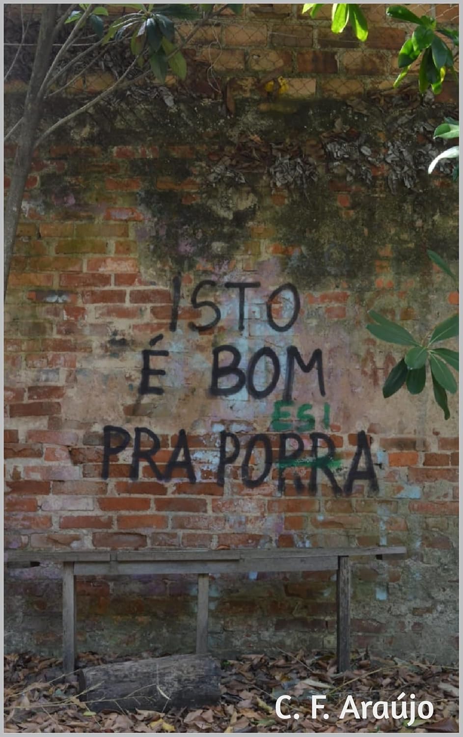ISTO É BOM PRA PORRA/POESIA baixar o livro de graça