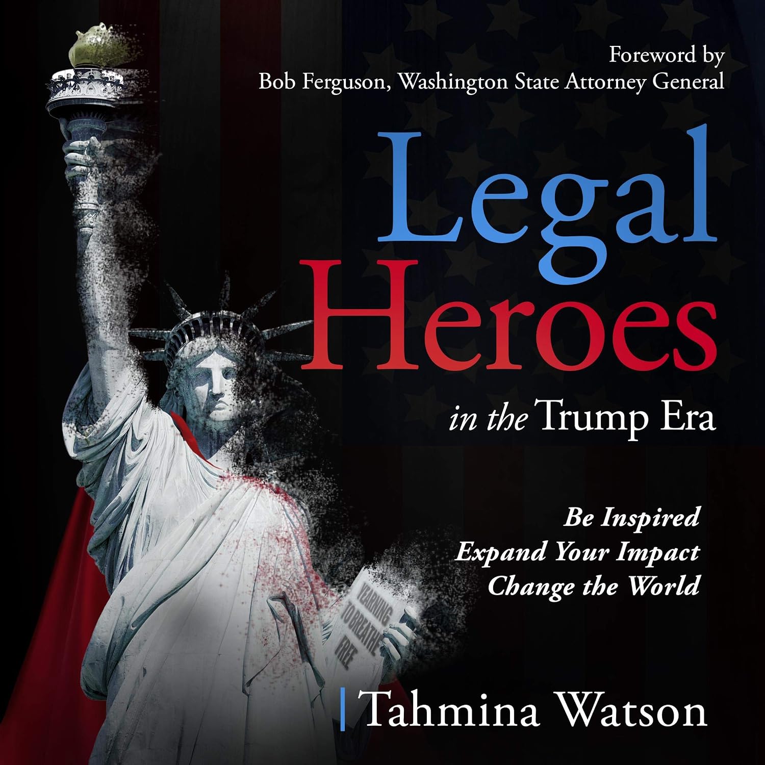 Legal Heroes in the Trump Era: Be Inspired. Expand Your Impact. Change the World baixar livro de graça