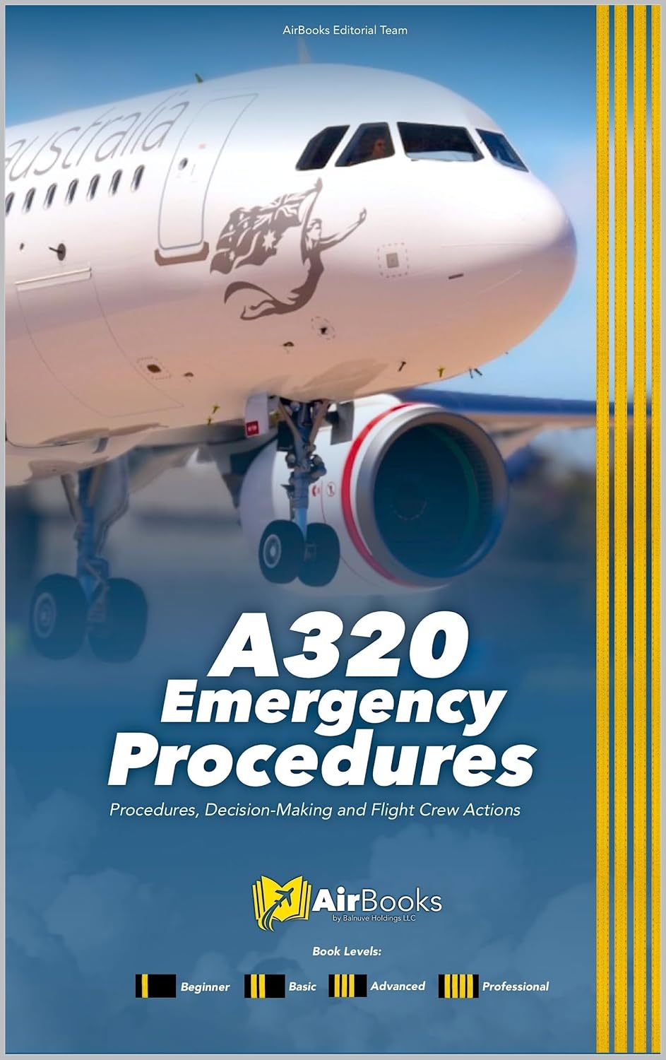 A320 Emergency Procedures: Procedures, Decision-Making and Flight Crew Actions. Premium Full-Color Edition (English Edition) baixar o livro de graça