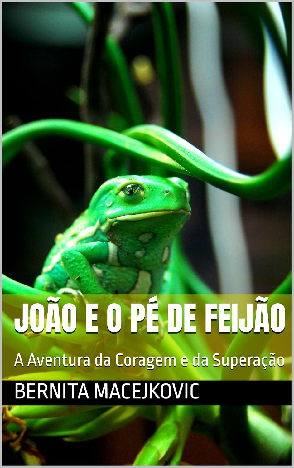 capítulo por capítulo baixar João e o Pé de Feijão: A Aventura da Coragem e da Superação