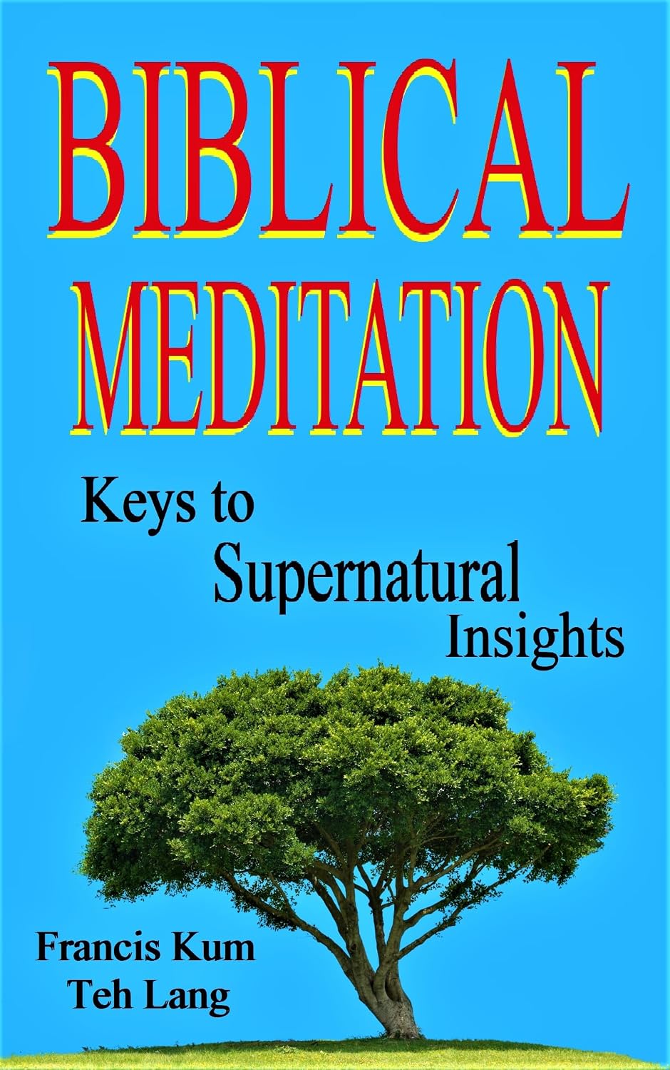 ler totalmente Biblical Meditation: Keys to supernatural insights (English Edition)