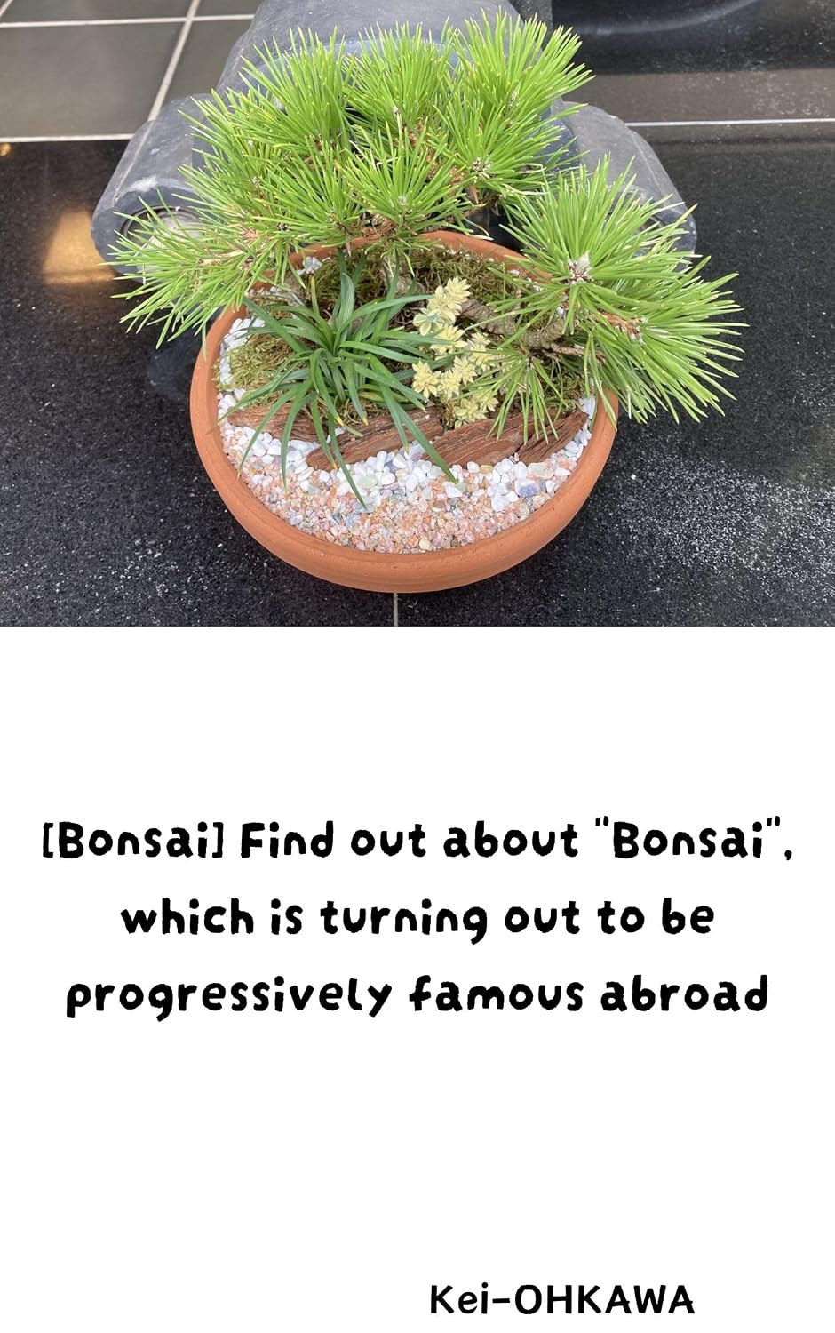 [Bonsai] Find out about "Bonsai", which is turning out to be progressively famous abroad (English Edition) baixar livro de graça